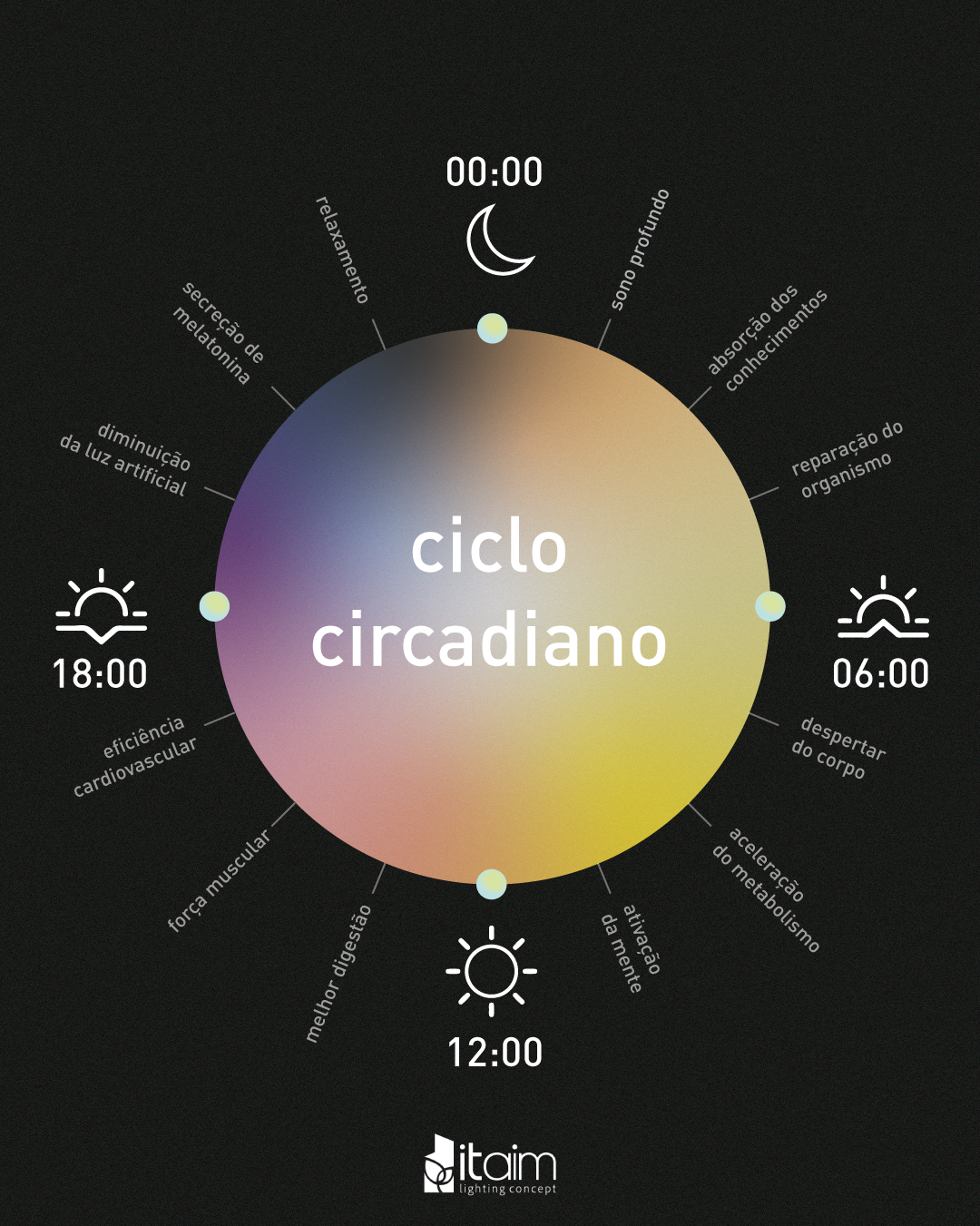 Iluminação funcional: entendendo o Ciclo Circadiano